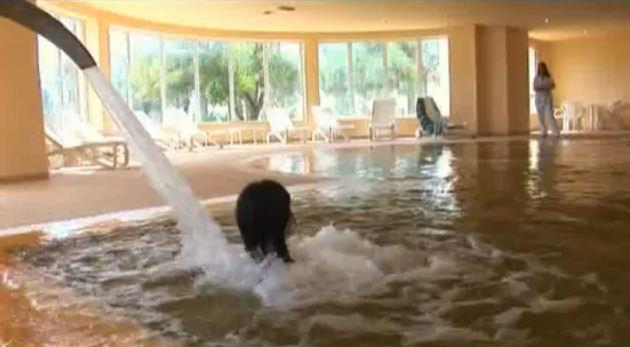זרזיס Zephir Hotel & Spa מראה חיצוני תמונה
